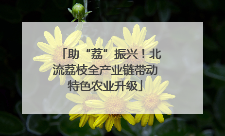 助“荔”振兴！北流荔枝全产业链带动特色农业升级