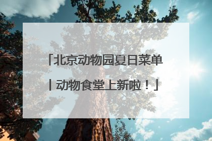 北京动物园夏日菜单丨动物食堂上新啦！