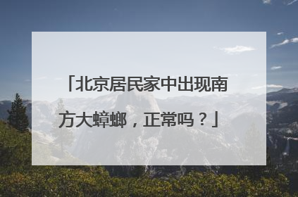 北京居民家中出现南方大蟑螂，正常吗？