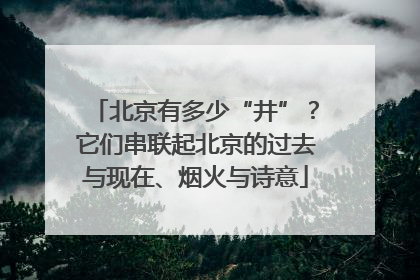 北京有多少“井”？它们串联起北京的过去与现在、烟火与诗意