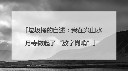 垃圾桶的自述：我在兴山水月寺做起了“数字岗哨”