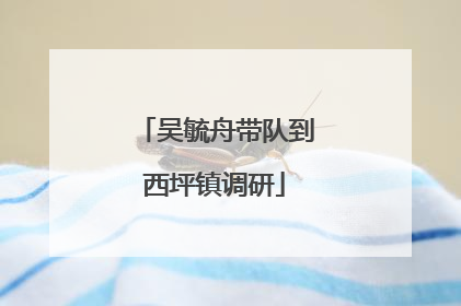 吴毓舟带队到西坪镇调研