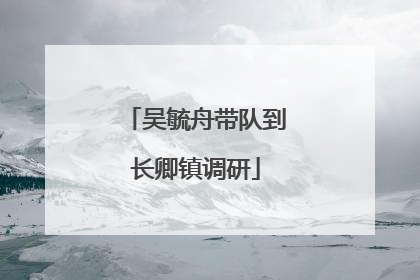 吴毓舟带队到长卿镇调研