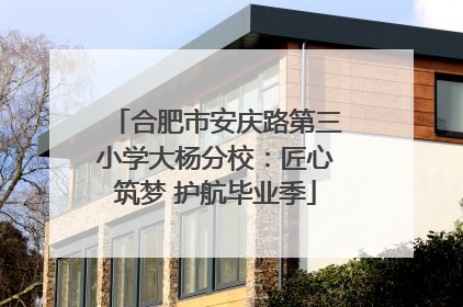 合肥市安庆路第三小学大杨分校：匠心筑梦 护航毕业季