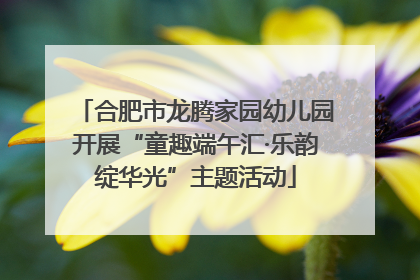 合肥市龙腾家园幼儿园开展“童趣端午汇·乐韵绽华光”主题活动