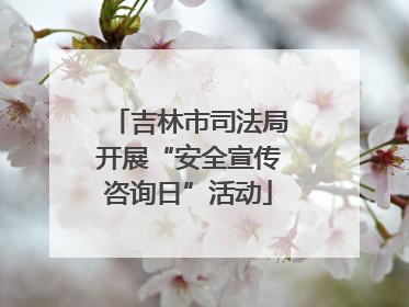 吉林市司法局开展“安全宣传咨询日”活动