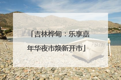 吉林桦甸：乐享嘉年华夜市焕新开市