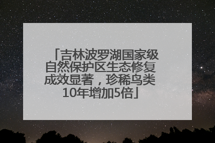 吉林波罗湖国家级自然保护区生态修复成效显著，珍稀鸟类10年增加5倍