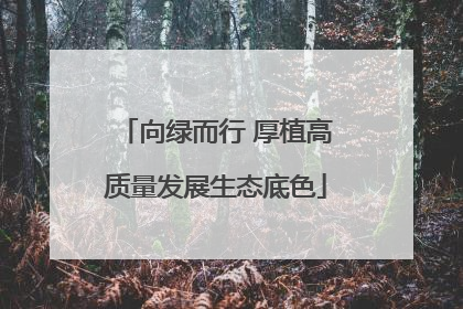 向绿而行 厚植高质量发展生态底色