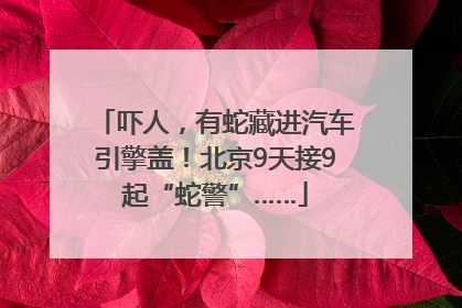 吓人，有蛇藏进汽车引擎盖！北京9天接9起“蛇警”……