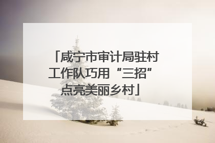 咸宁市审计局驻村工作队巧用“三招”点亮美丽乡村
