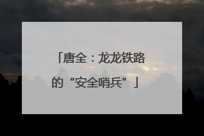 唐全：龙龙铁路的“安全哨兵”