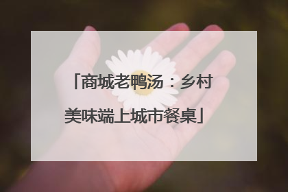 商城老鸭汤：乡村美味端上城市餐桌