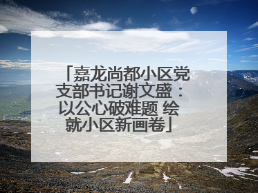 嘉龙尚都小区党支部书记谢文盛：以公心破难题 绘就小区新画卷