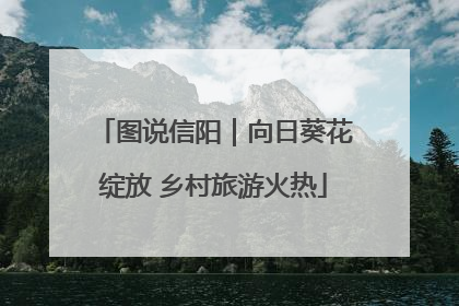 图说信阳｜向日葵花绽放 乡村旅游火热