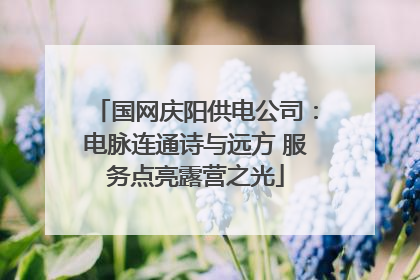 国网庆阳供电公司：电脉连通诗与远方 服务点亮露营之光