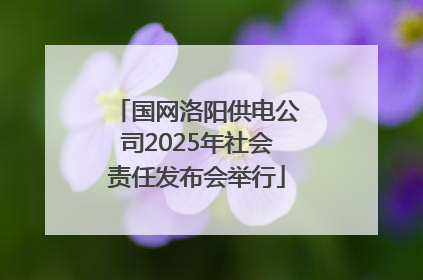国网洛阳供电公司2025年社会责任发布会举行