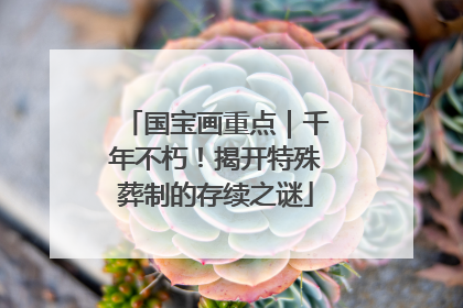 国宝画重点｜千年不朽！揭开特殊葬制的存续之谜