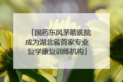 国药东风茅箭医院成为湖北省首家专业复学康复训练机构
