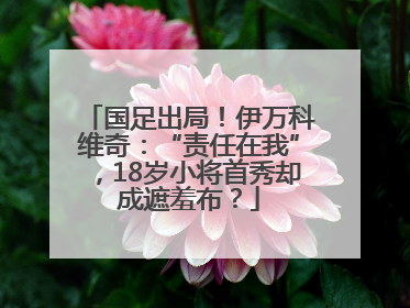国足出局！伊万科维奇：“责任在我”，18岁小将首秀却成遮羞布？