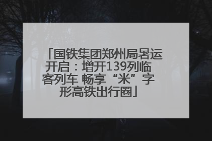 国铁集团郑州局暑运开启：增开139列临客列车 畅享“米”字形高铁出行圈