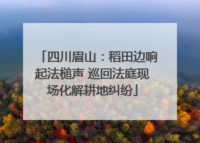 四川眉山：稻田边响起法槌声 巡回法庭现场化解耕地纠纷