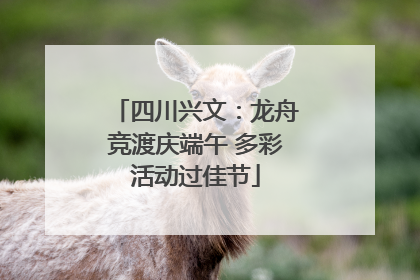 四川兴文：龙舟竞渡庆端午 多彩活动过佳节