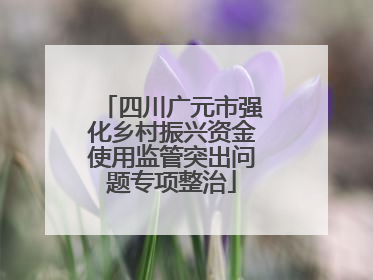 四川广元市强化乡村振兴资金使用监管突出问题专项整治