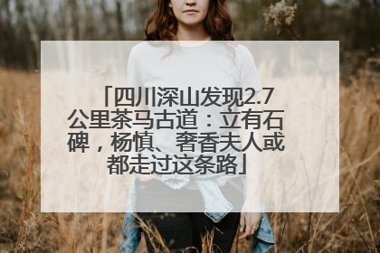 四川深山发现2.7公里茶马古道：立有石碑，杨慎、奢香夫人或都走过这条路