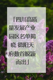 四川高质量发展产业园区名单揭晓 德阳天府数谷脱颖而出