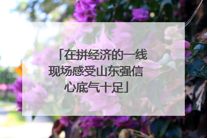 在拼经济的一线现场感受山东强信心底气十足