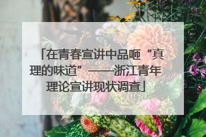 在青春宣讲中品咂“真理的味道”——浙江青年理论宣讲现状调查
