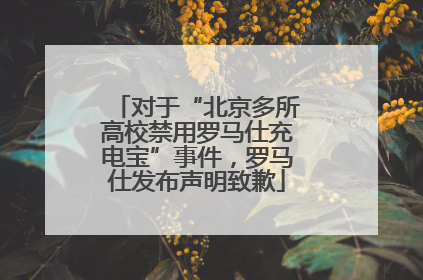 对于“北京多所高校禁用罗马仕充电宝”事件，罗马仕发布声明致歉