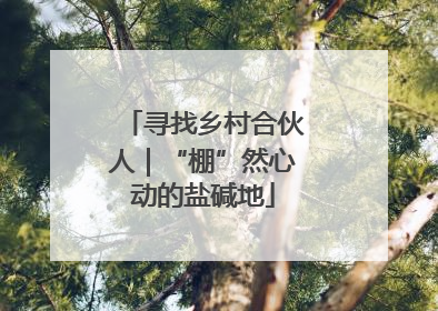 寻找乡村合伙人｜“棚”然心动的盐碱地