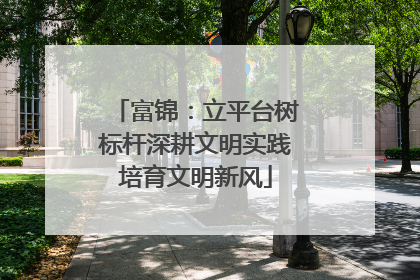 富锦：立平台树标杆深耕文明实践培育文明新风