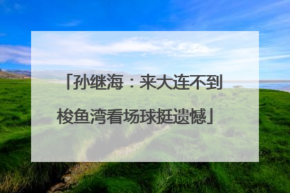 孙继海：来大连不到梭鱼湾看场球挺遗憾