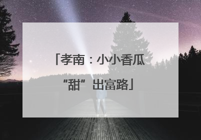 孝南：小小香瓜 “甜”出富路