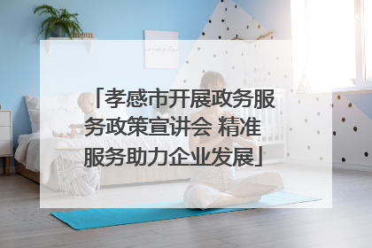 孝感市开展政务服务政策宣讲会 精准服务助力企业发展