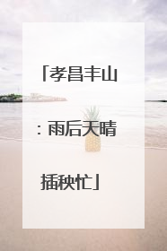 孝昌丰山：雨后天晴插秧忙