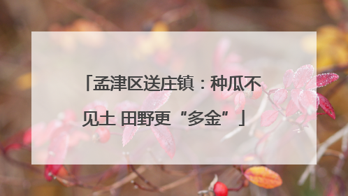孟津区送庄镇：种瓜不见土 田野更“多金”
