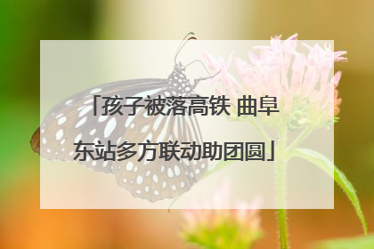 孩子被落高铁 曲阜东站多方联动助团圆