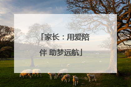 家长：用爱陪伴 助梦远航