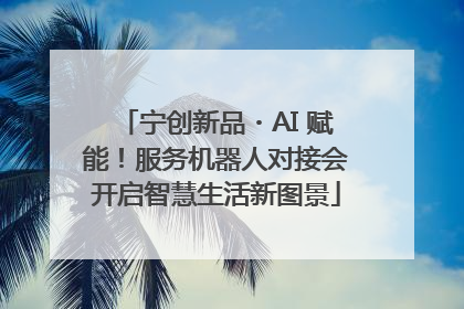 宁创新品・AI 赋能！服务机器人对接会开启智慧生活新图景