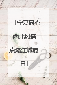 宁夏同心 西北风情点燃江城夏日