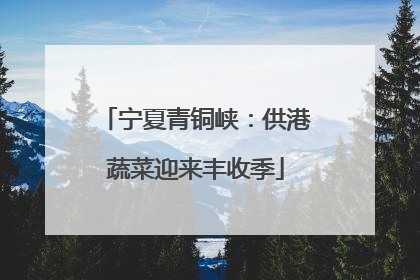 宁夏青铜峡：供港蔬菜迎来丰收季