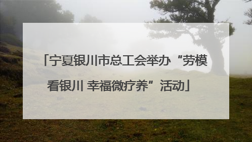 宁夏银川市总工会举办“劳模看银川 幸福微疗养”活动