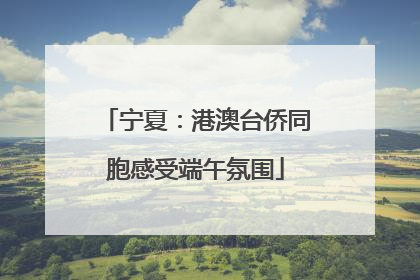 宁夏：港澳台侨同胞感受端午氛围
