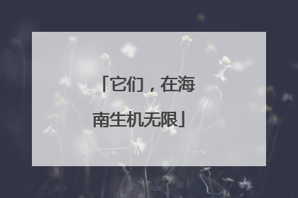 它们，在海南生机无限