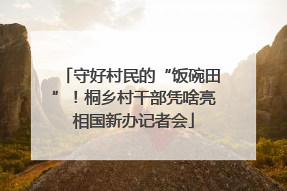 守好村民的“饭碗田”！桐乡村干部凭啥亮相国新办记者会