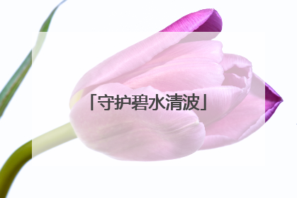 守护碧水清波